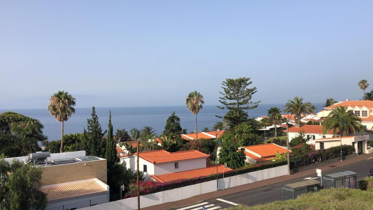 Madeira Mero Canico (Madeira)