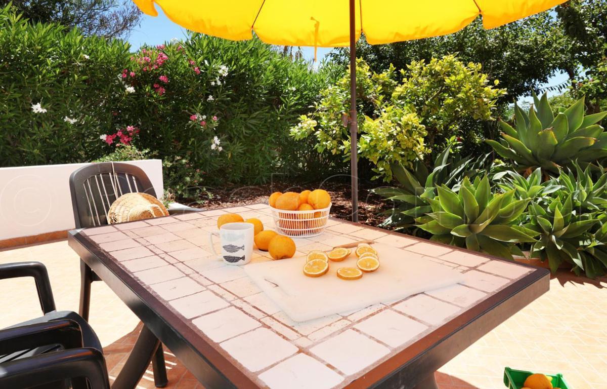 Casa Beachcomber Le Jardin Des Arts