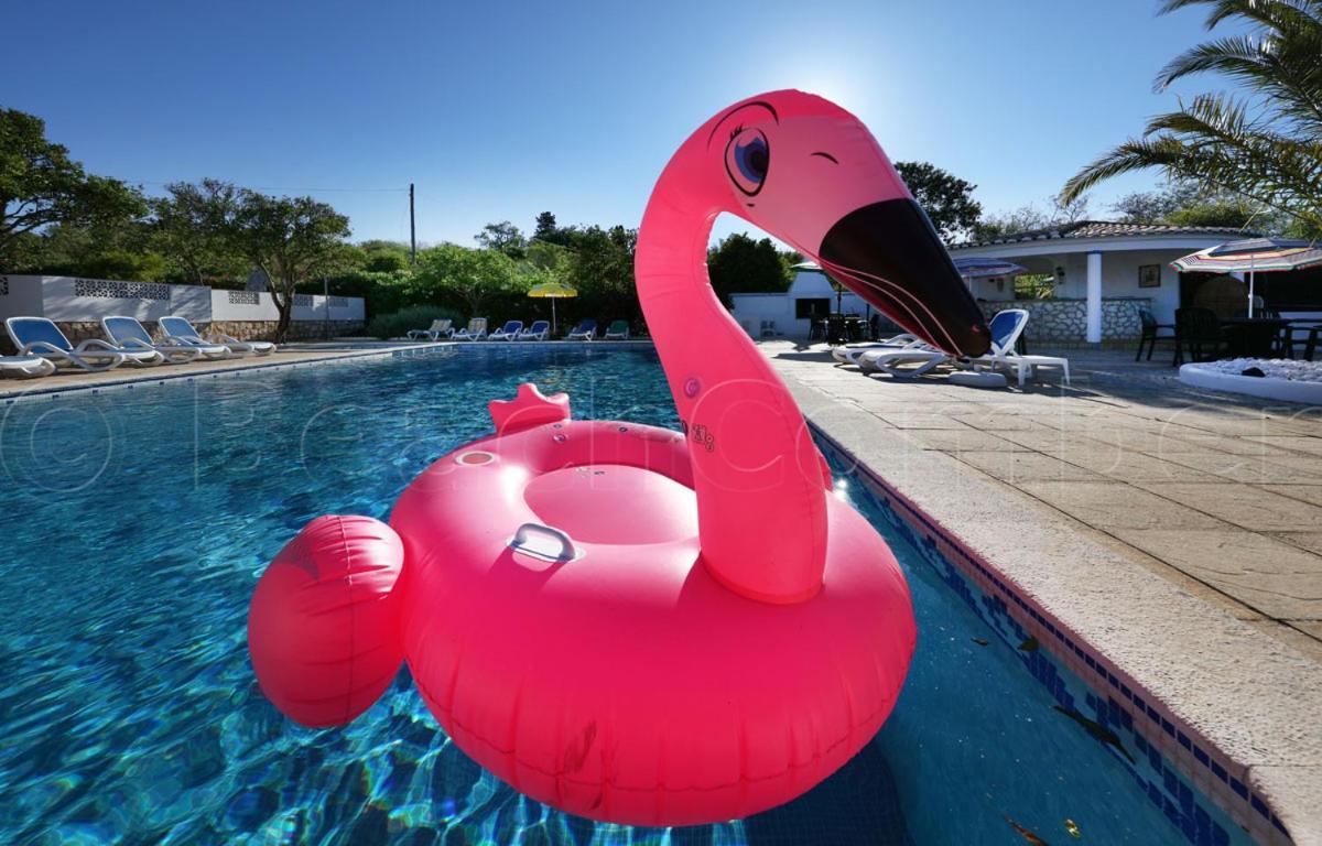 Casa Beachcomber Le Jardin Des Arts