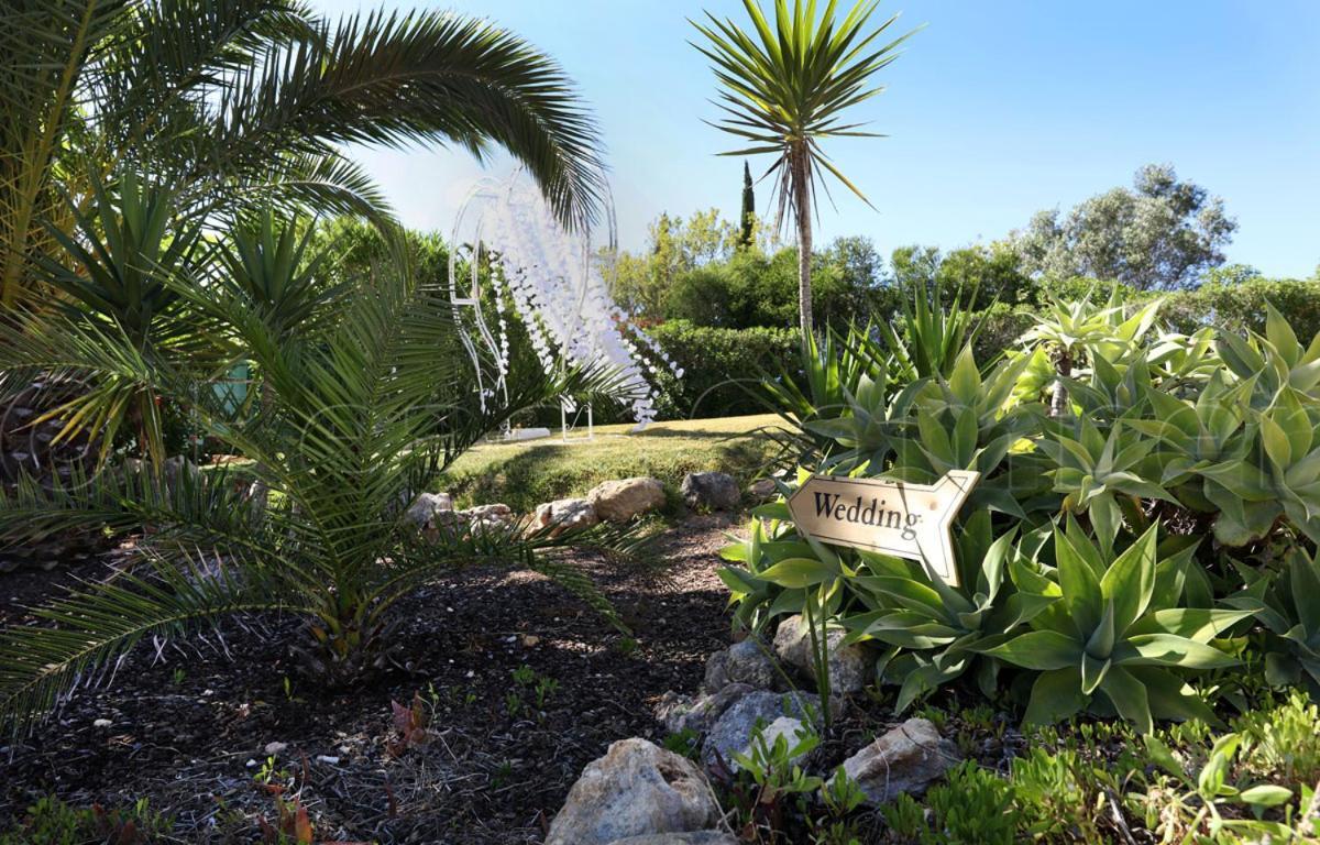 Casa Beachcomber Le Jardin Des Arts Lagos