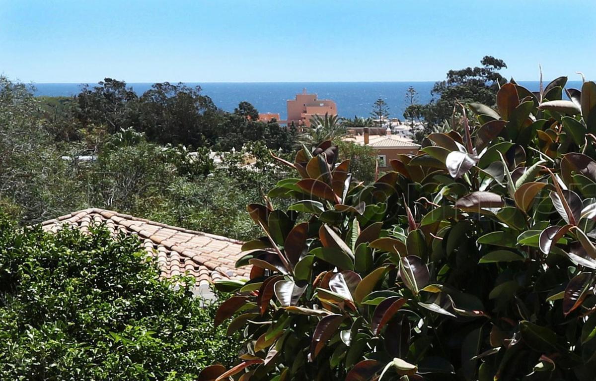 Casa Beachcomber Le Jardin Des Arts *