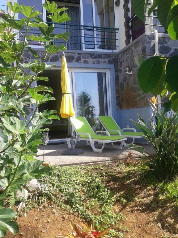Casa-albatros