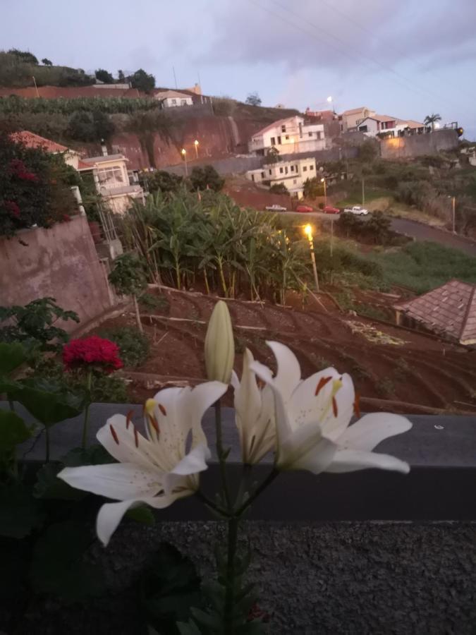 Casa-albatros * Ponta do Sol (Madeira)