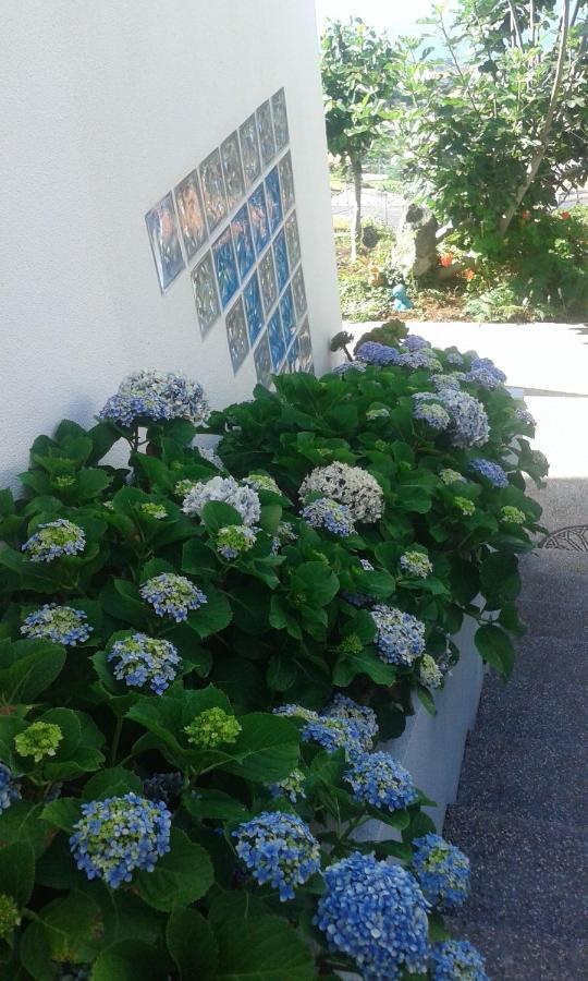 Holiday home Casa-albatros *