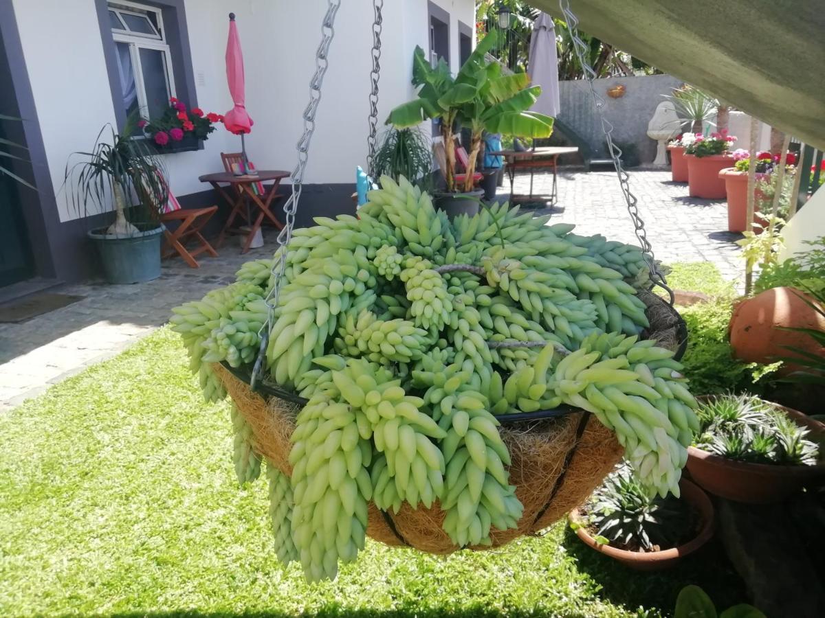 Appartement Madeira Flats *