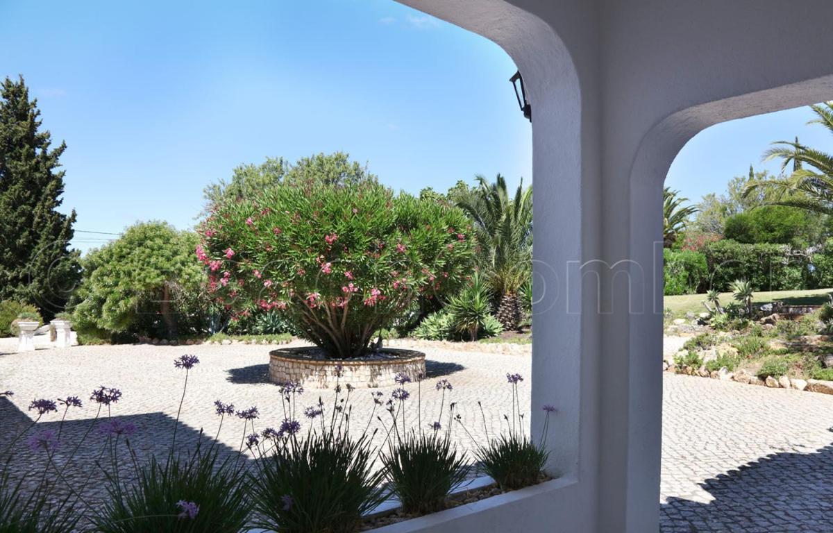 Apartment Casa Beachcomber Le Jardin Des Arts *