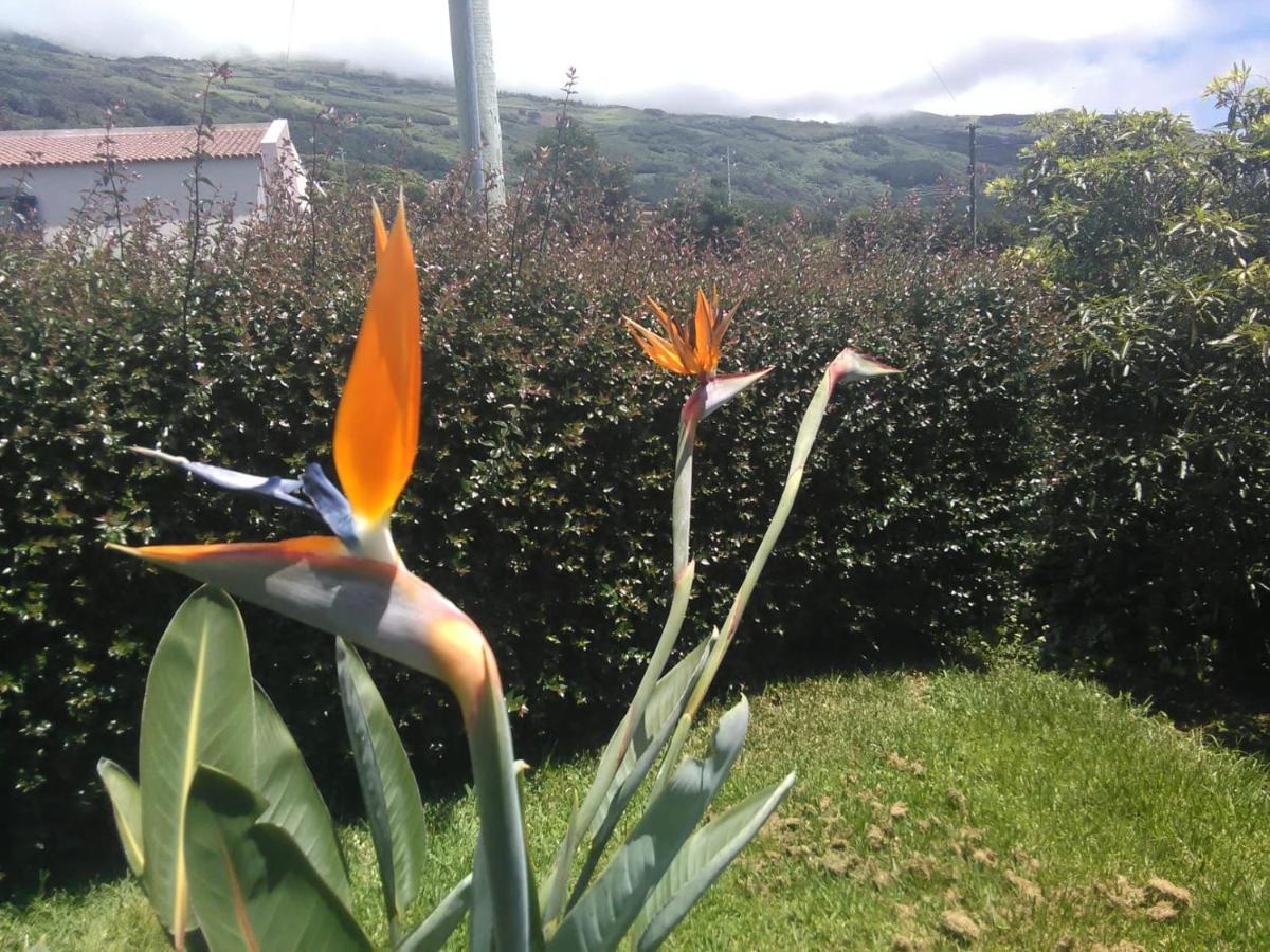 Casa Da Ribeira * Lajes do Pico