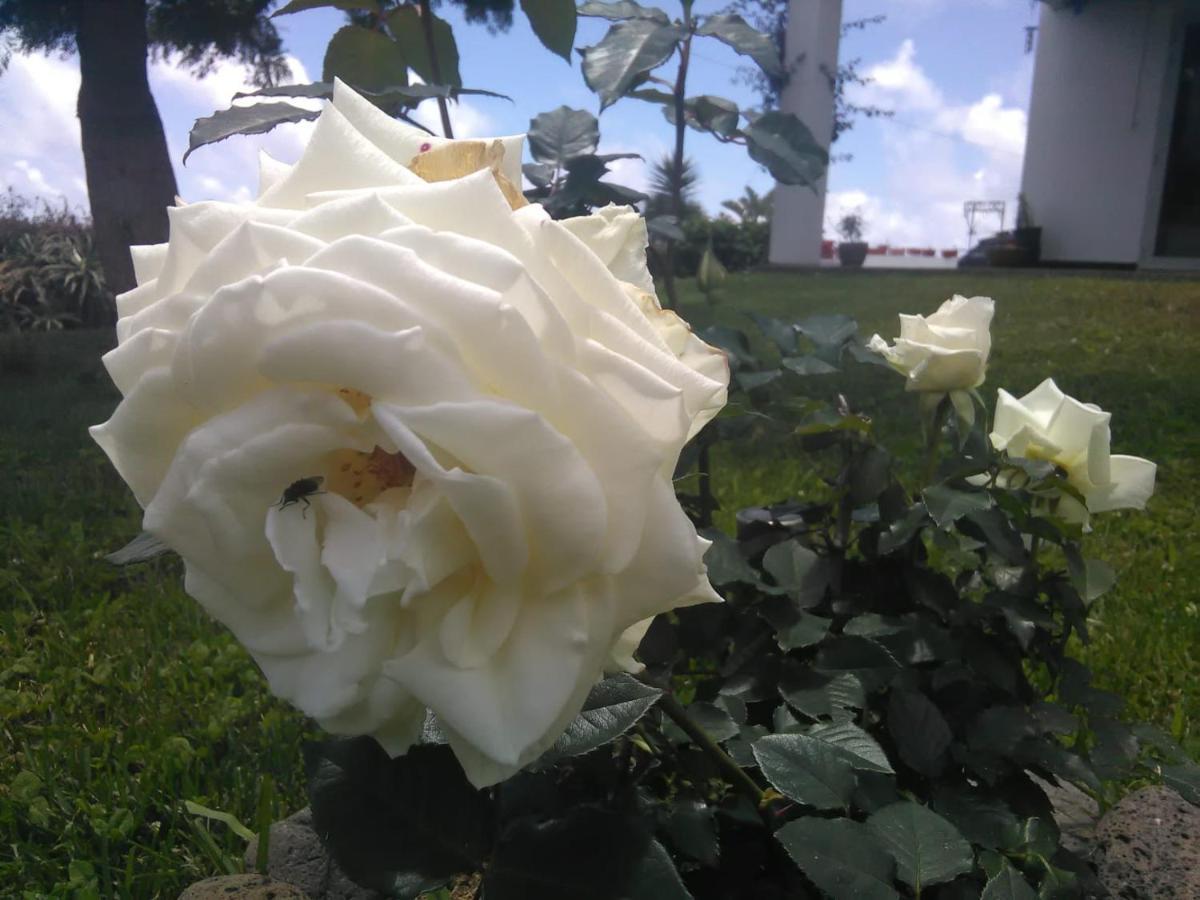 Bed & Breakfast Casa Da Ribeira *