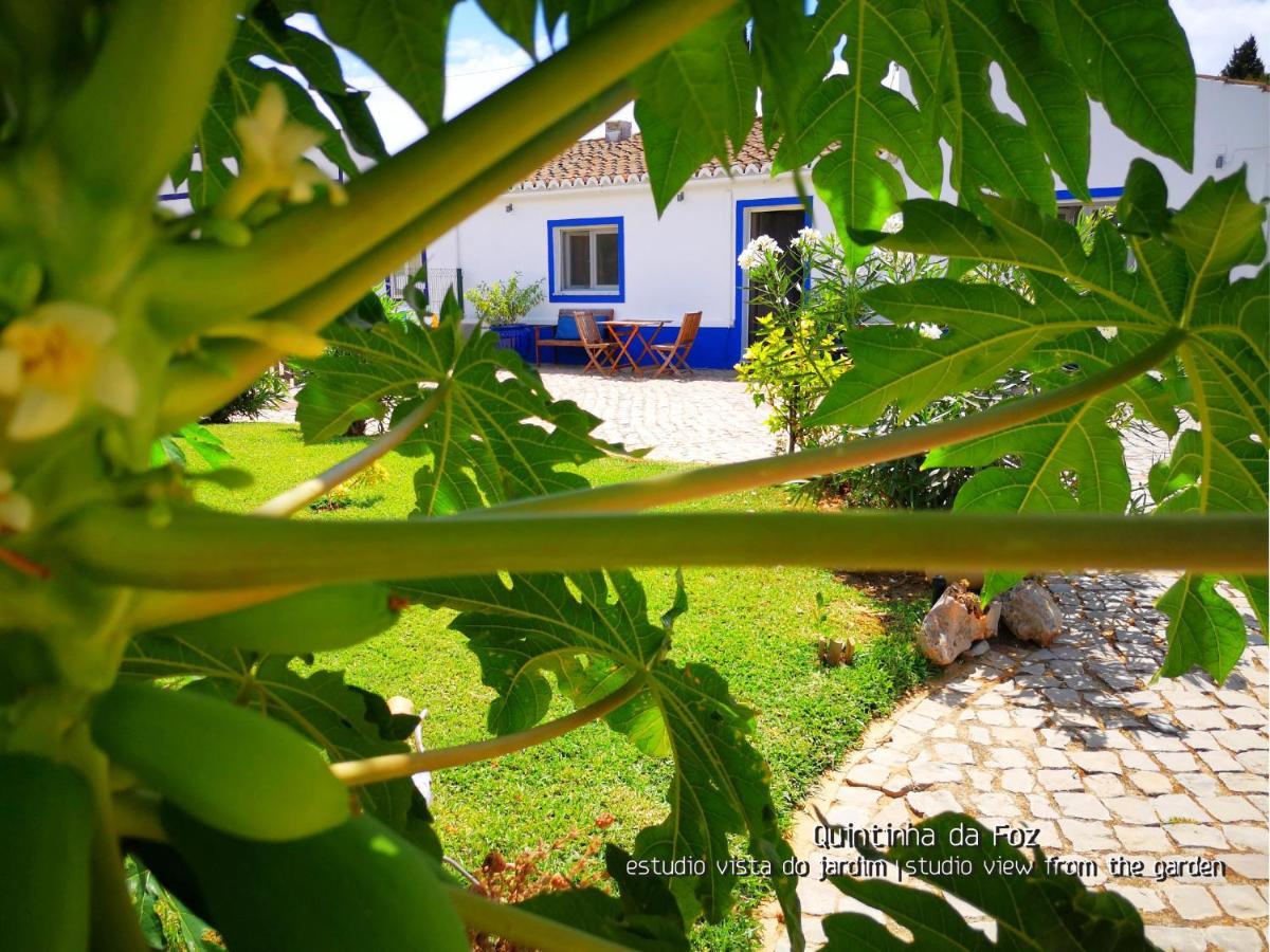Guest house Quintinha Da Foz