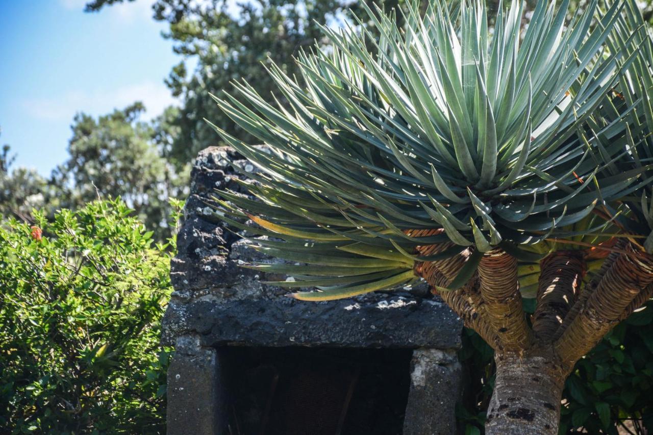 Quinta Dos Frutos Holiday home