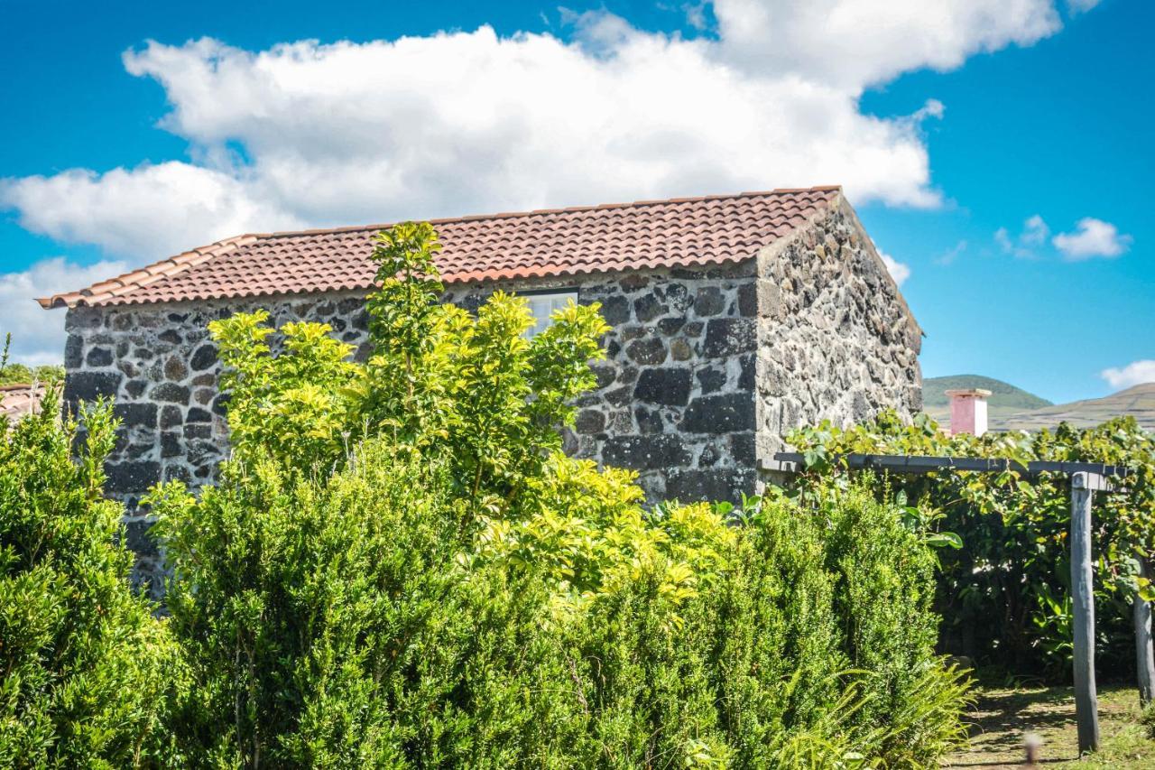 Holiday home Quinta Dos Frutos