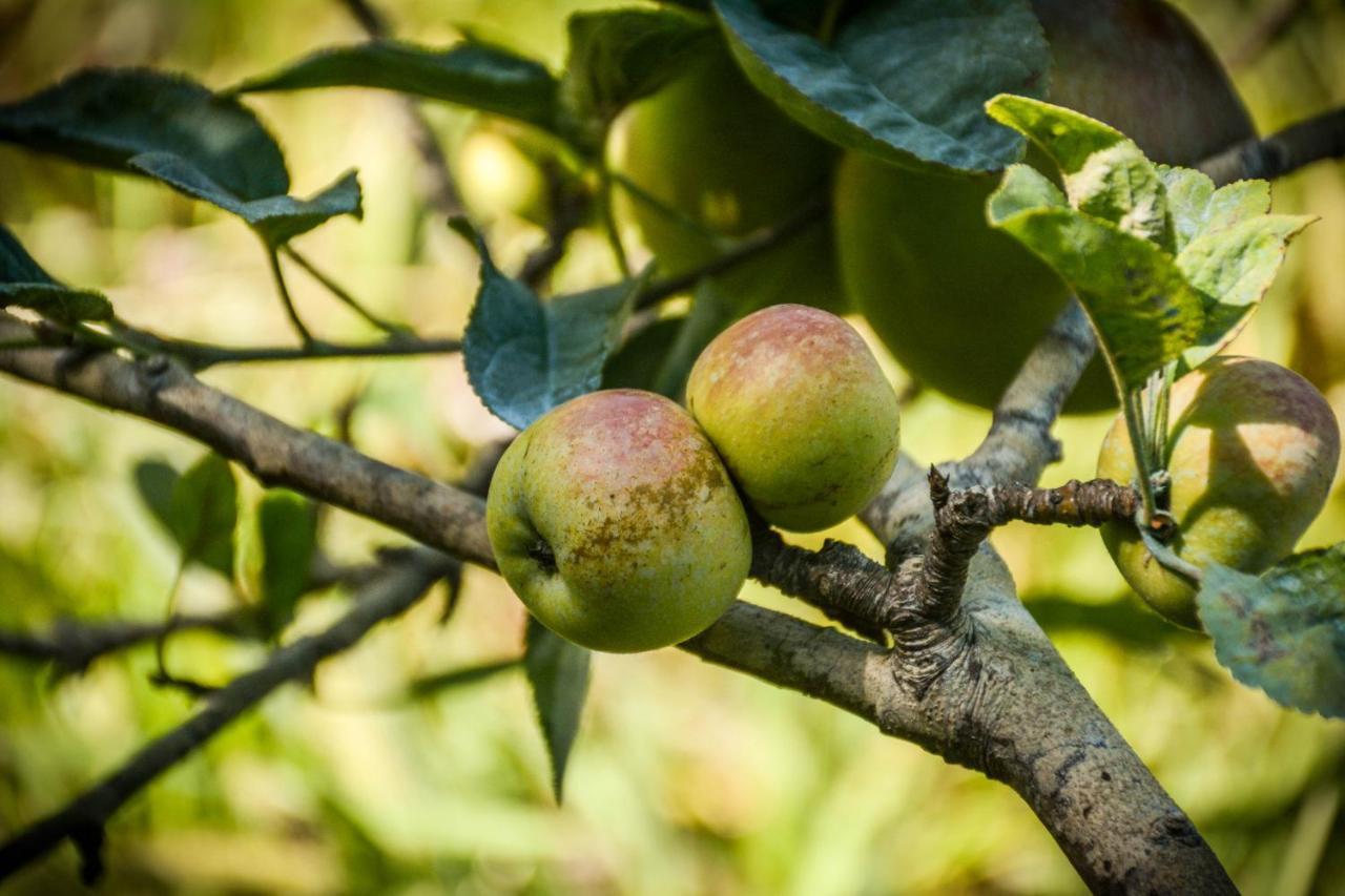 Quinta Dos Frutos