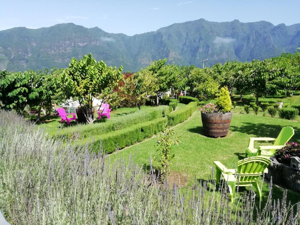 Granny's Farm * Sao Vicente (Madeira)