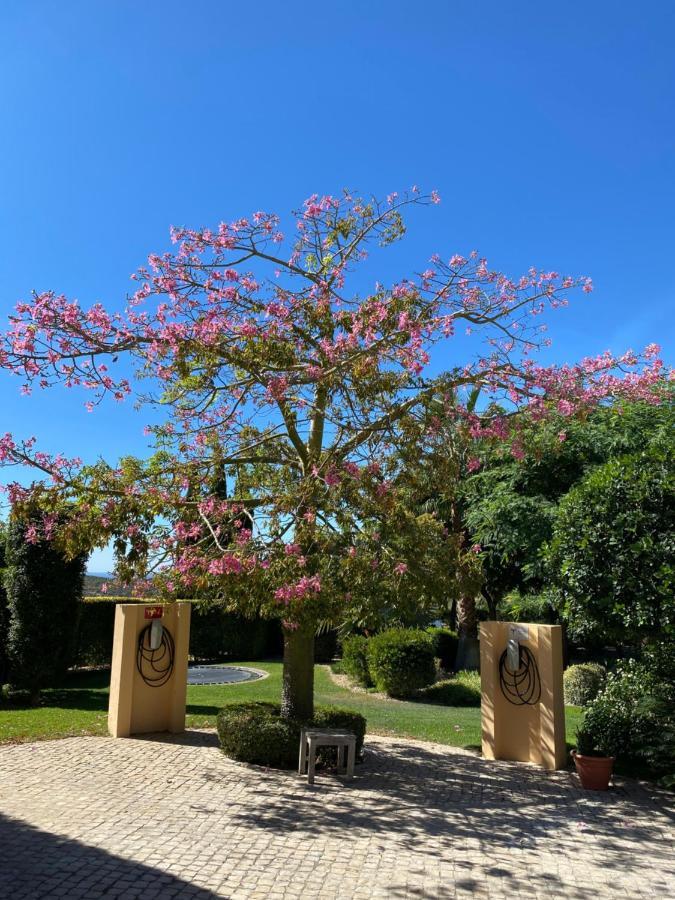 Bed & Breakfast Casa Mocho Branco Loule