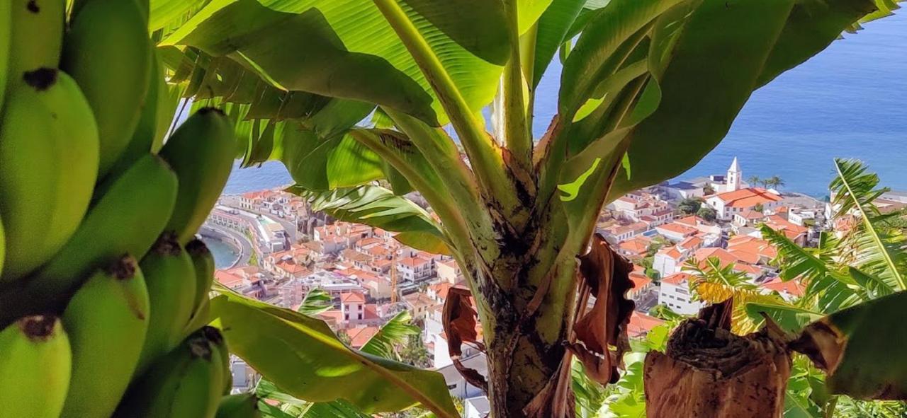 Attic Bay * Camara de Lobos