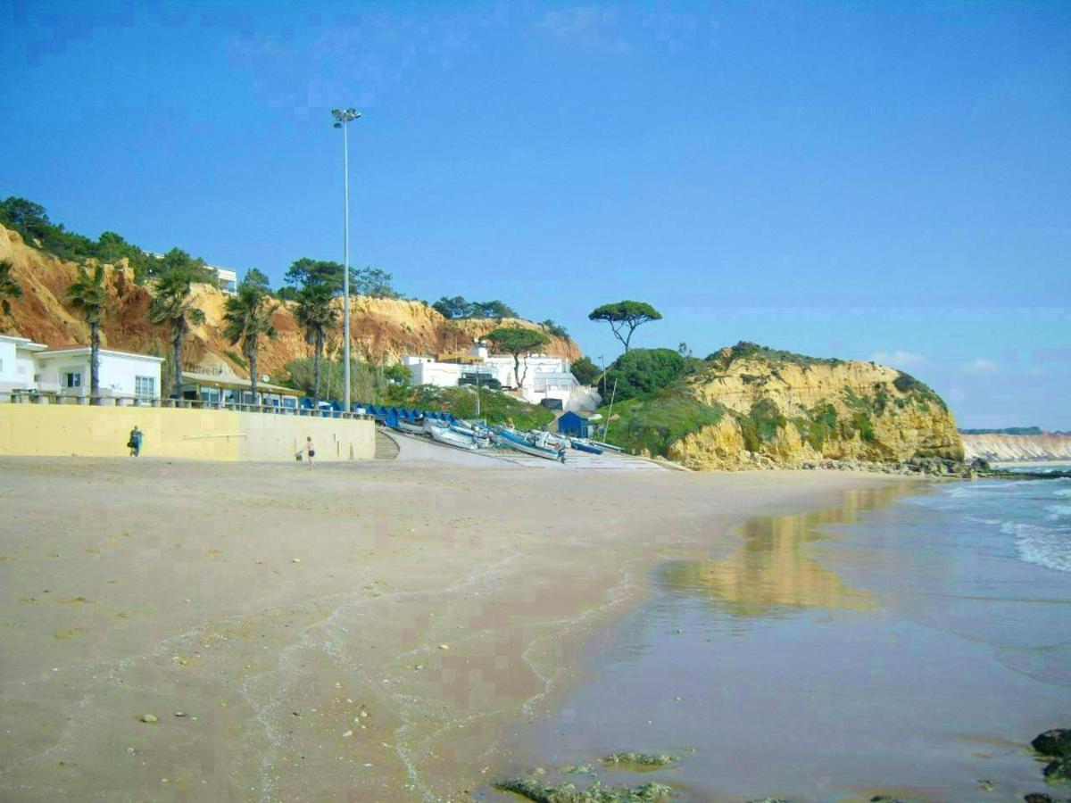 Appartement Charming With Shared Pool In 60 M² *