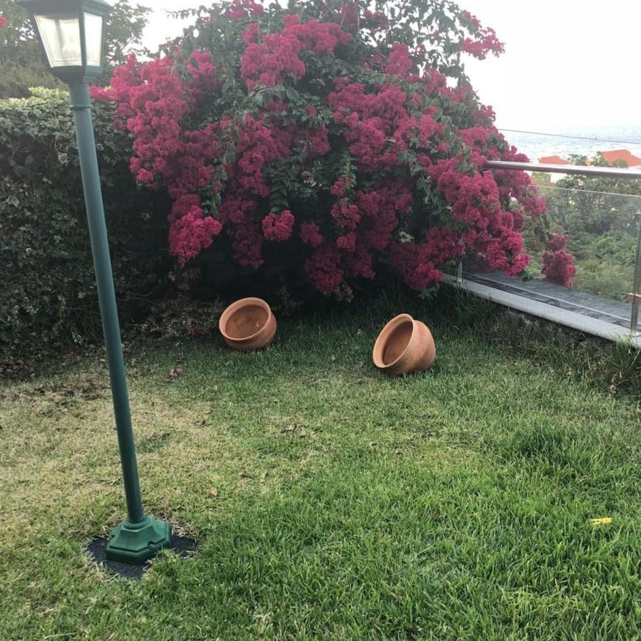 Lovely Sea View 3-bed House In P Delgada Madeira