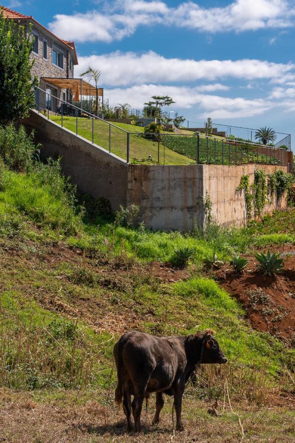 Flora - Nature & Tranquility - Heated Pool Optional Villa Jardim do Mar