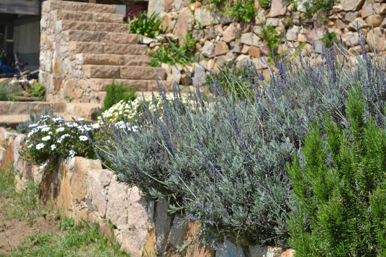 Mira Guincho House With Sea View And Garden, Cascais Casa de férias *