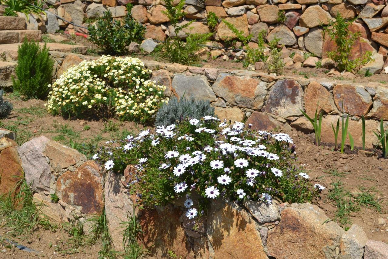 Casa de férias Mira Guincho House With Sea View And Garden, Cascais