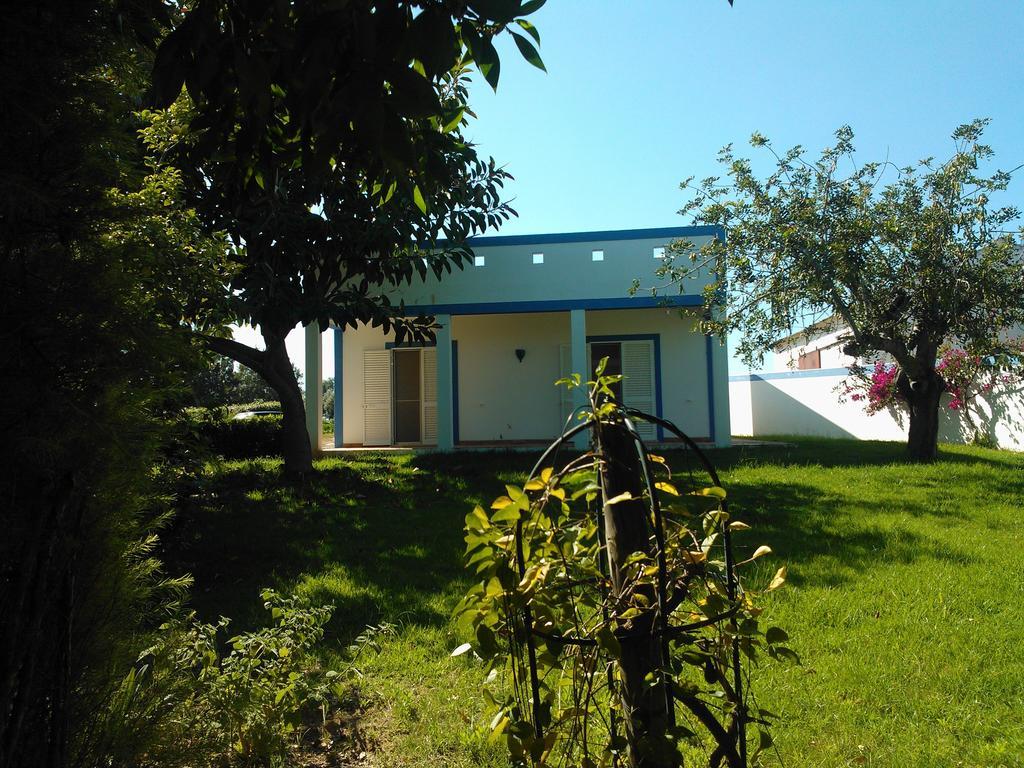 Quinta Da Moura Casa-de-campo Country house *