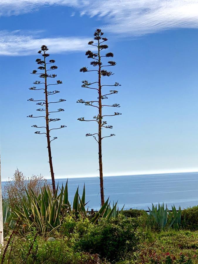 Holiday home Charming House In Carvoeiro + Pool Carvoeiro (Lagoa)