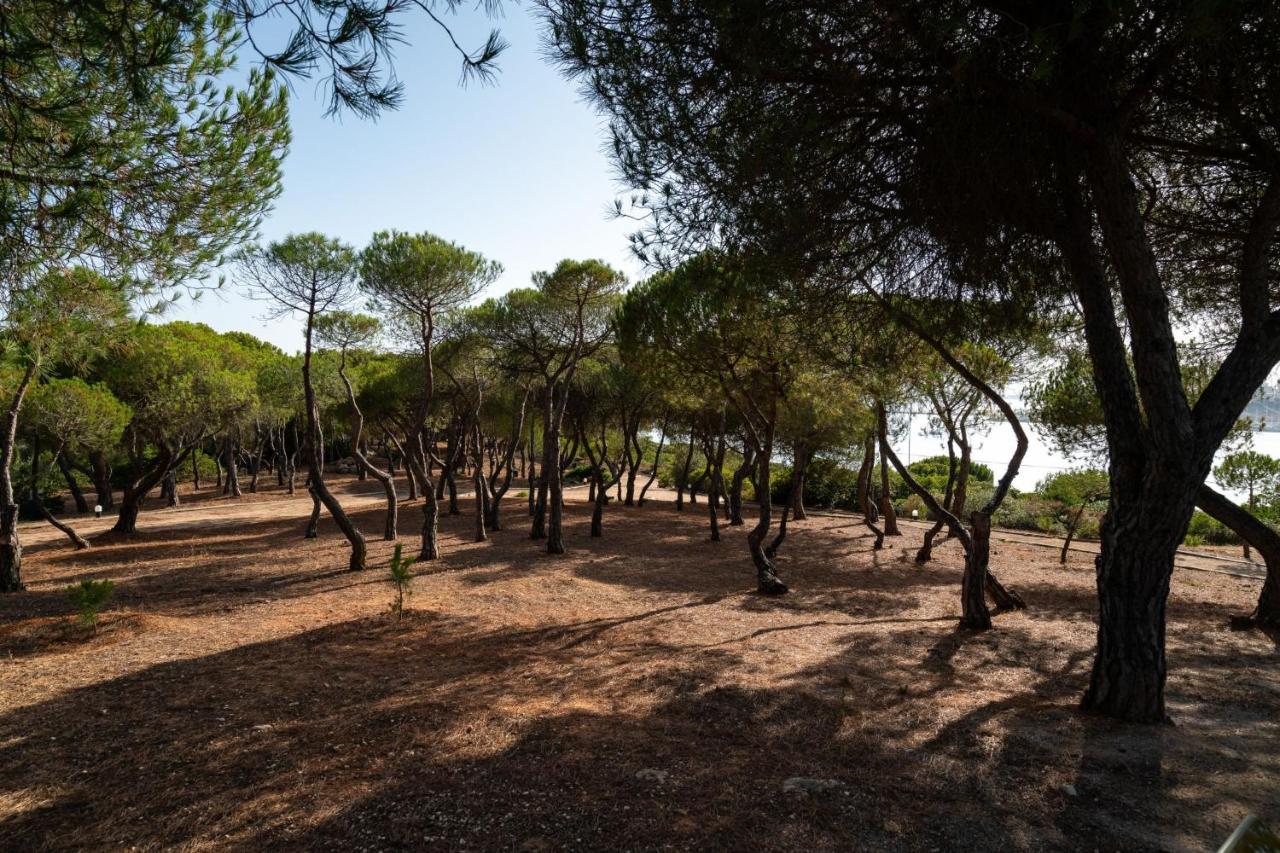 Monte Da Bela Vista 'paradise' By Sapvillas