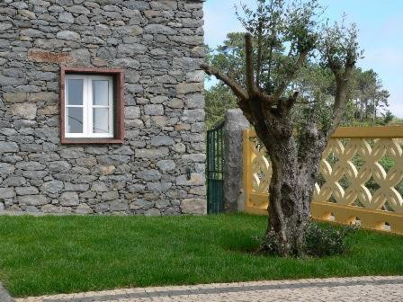 Colina Da Faja Farm stay Faja da Ovelha