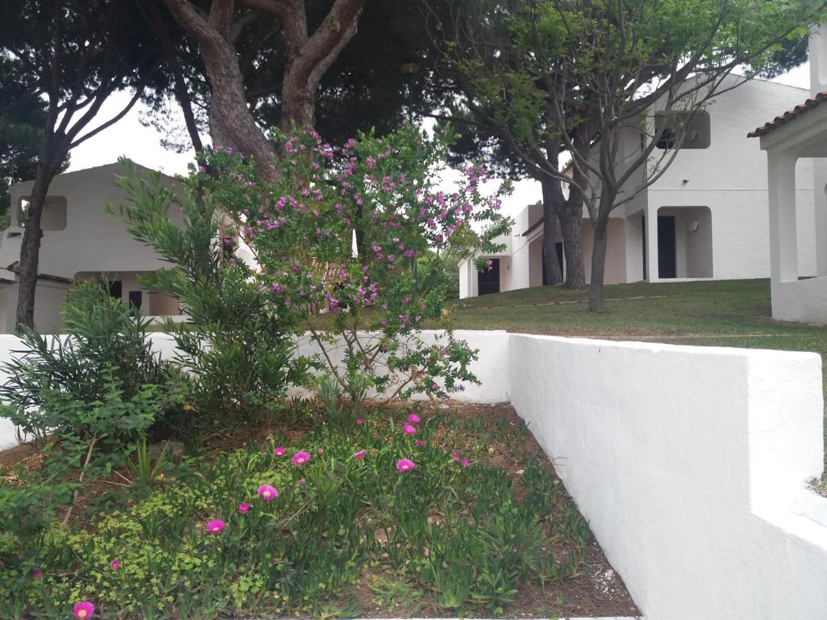 Aldeia Da Falesia Apartamento *