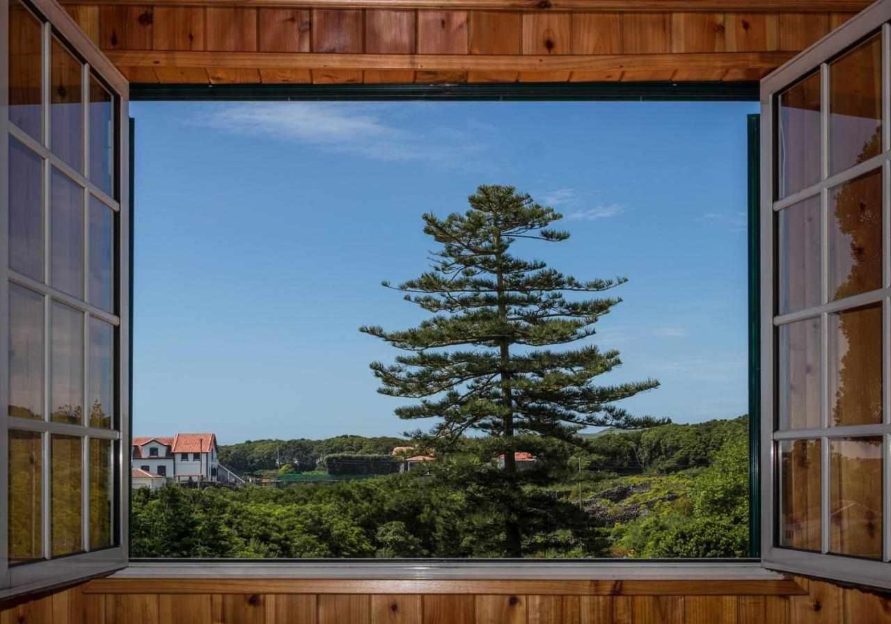 Holiday home Vivenda Gomes Porto Martins