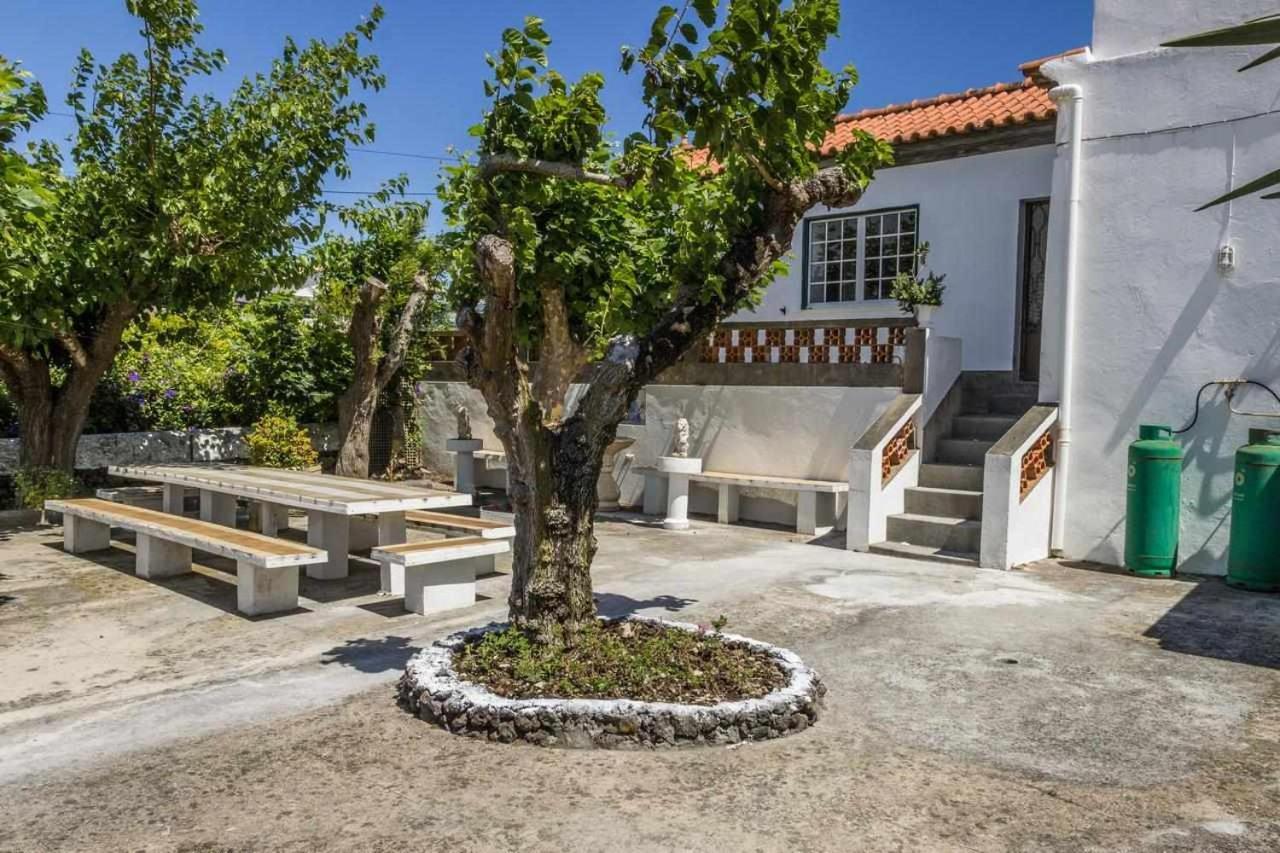 Vivenda Gomes Holiday home Porto Martins
