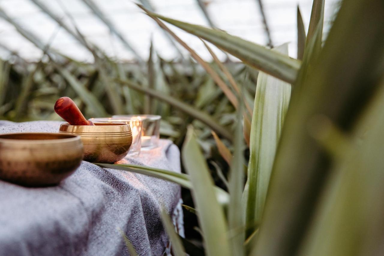 Herdade Do Ananas