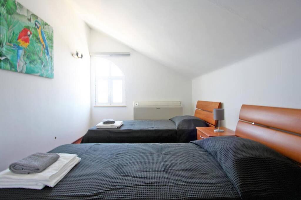 Holiday home Casa Alfarroba - Quinta Do Perogil, Tavira, Algarve
