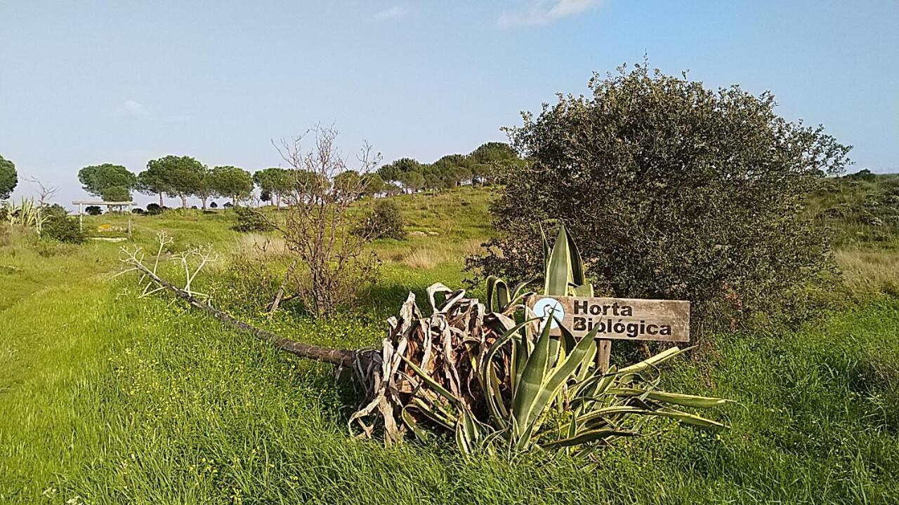 Monte Francisco Baanswy - 3 Quartos - Piscina Privada Bed & Breakfast Castro Marim