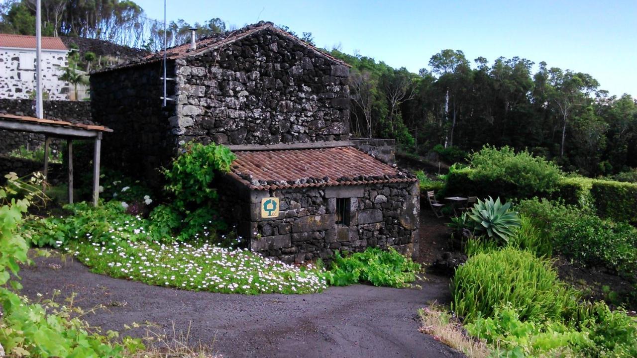 Casa Da Adega * Prainha (Sao Roque do Pico)