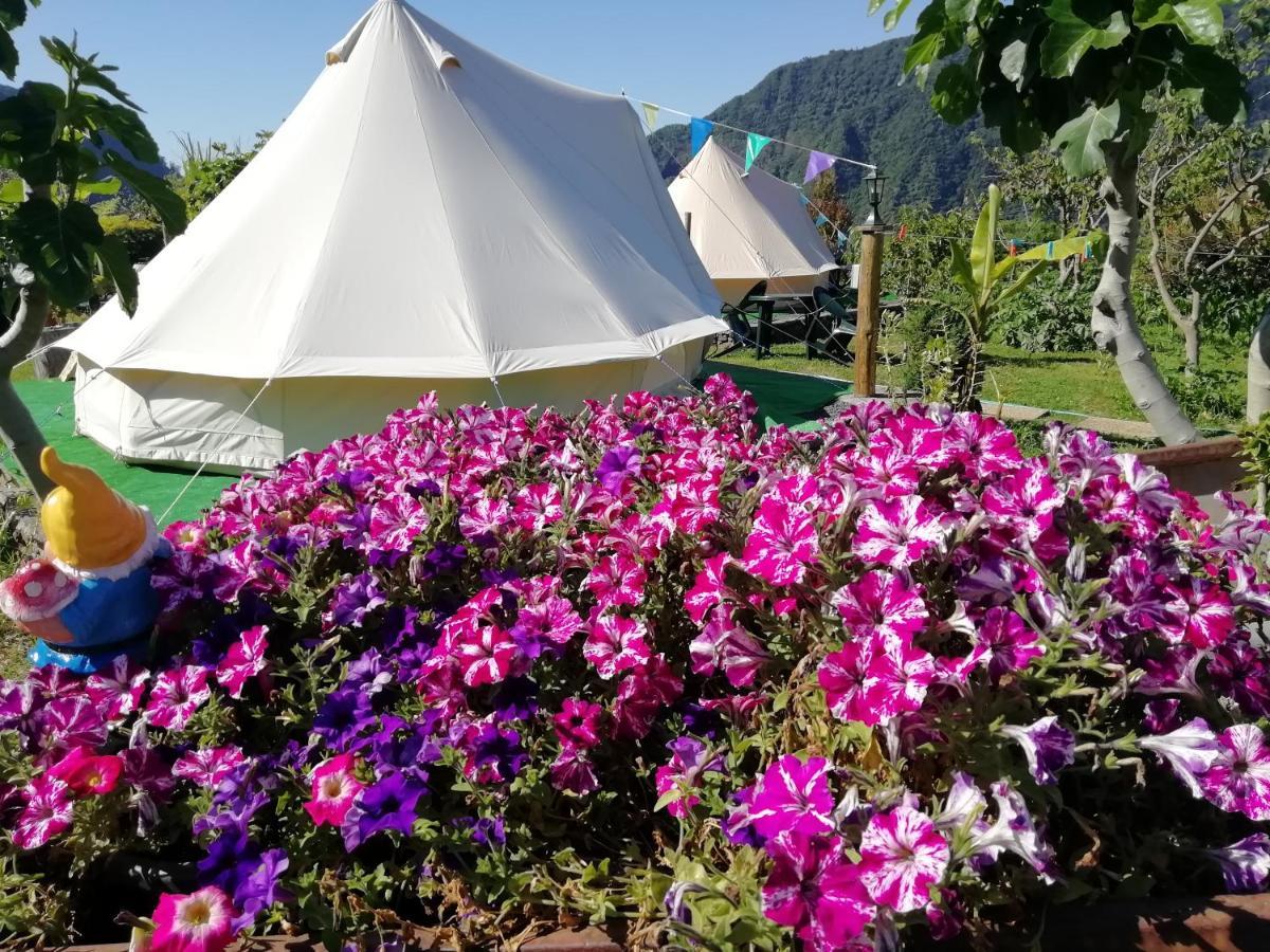 Granny's Farm Country house Sao Vicente (Madeira)