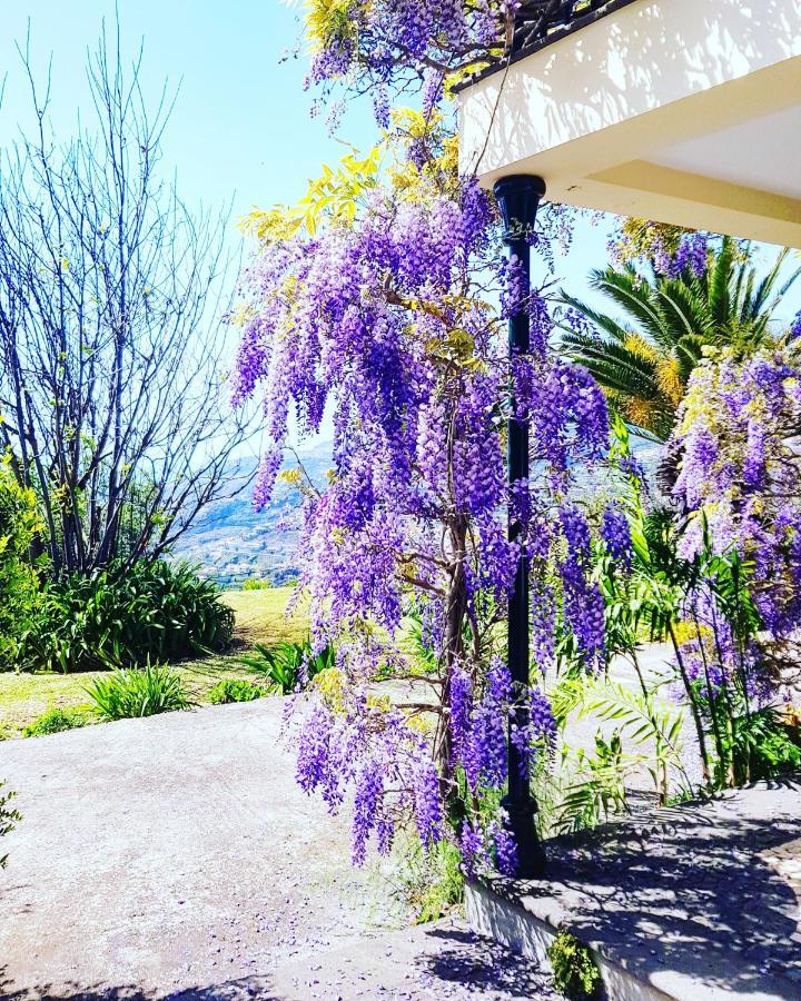 Quinta Do Cabouco Guest house *