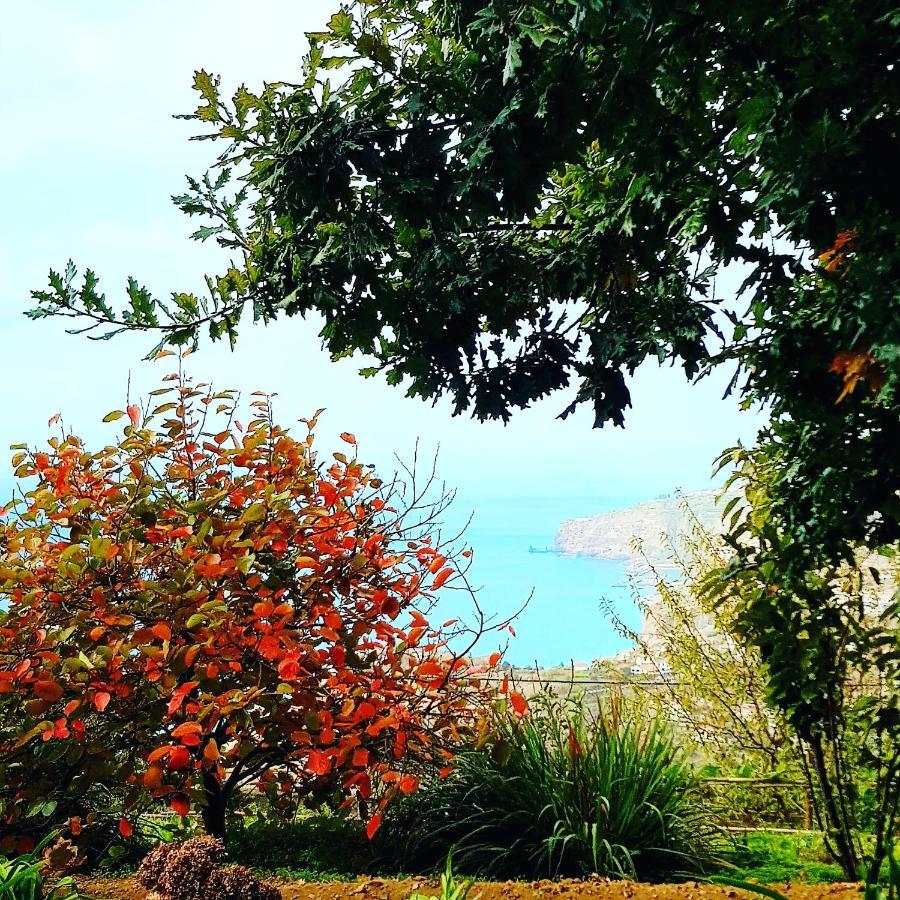 Quinta Do Cabouco Guest house