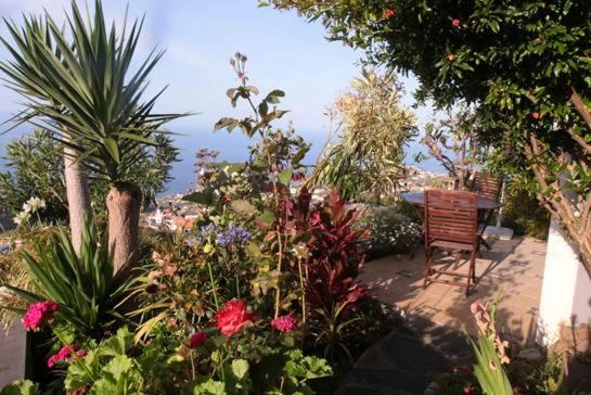 Casa-albatros Holiday home Ponta do Sol (Madeira)