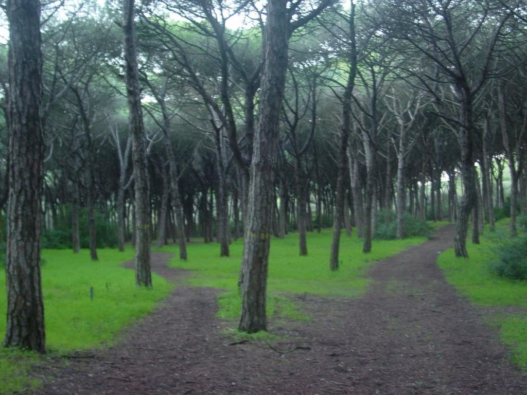Hostal Caparica Sun Centre *