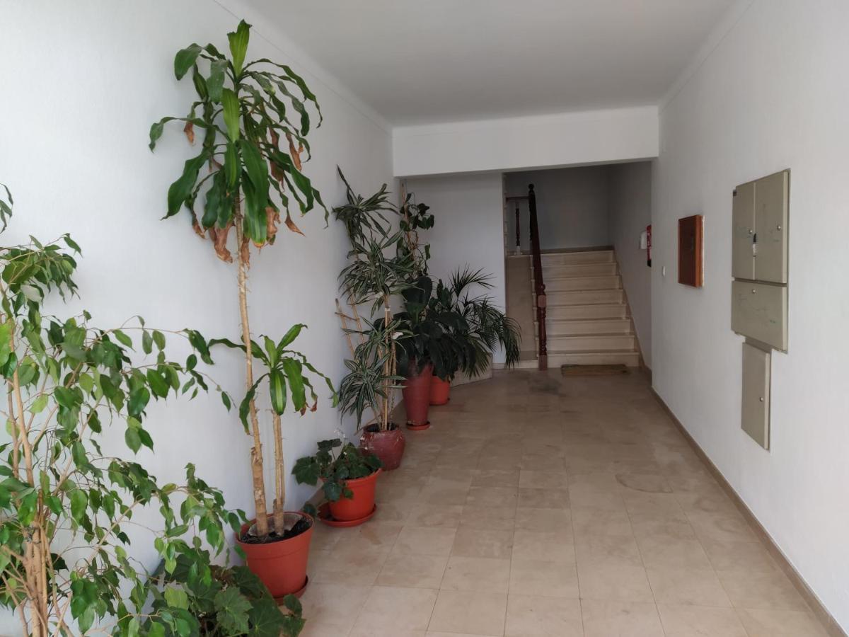Bau-doce Apartment Cercal do Alentejo