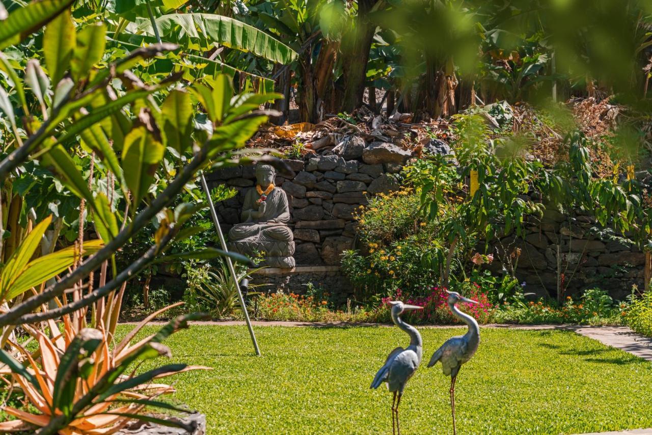 Quinta Golfinho