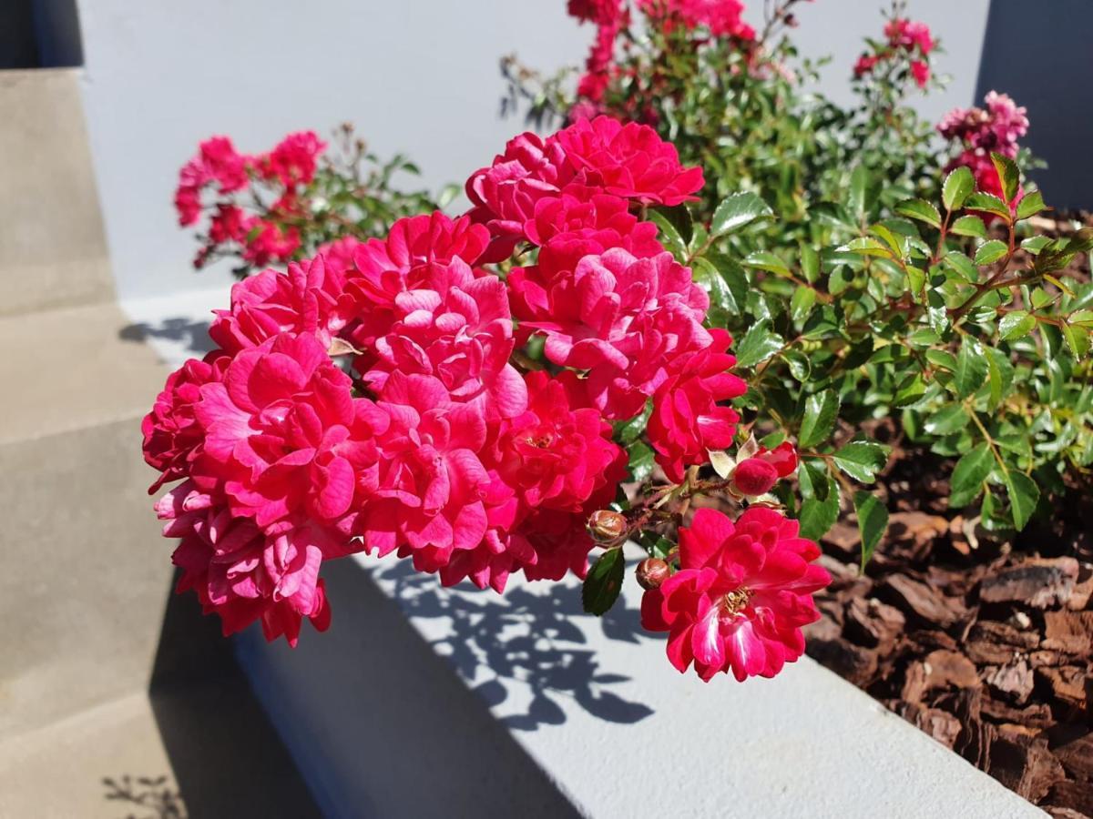 Casa Atlantico Tropischer Seitenfluegel Apartment Ribeira Brava