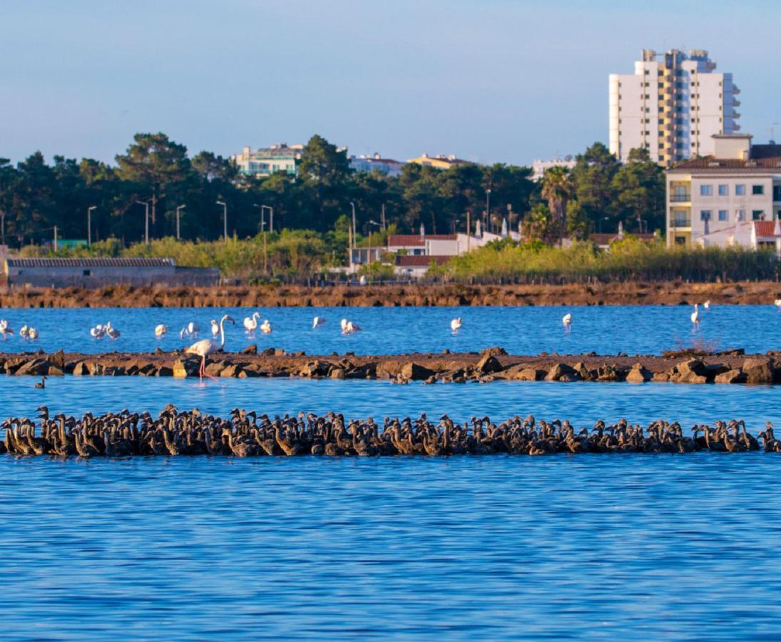 Seasun Vacation -