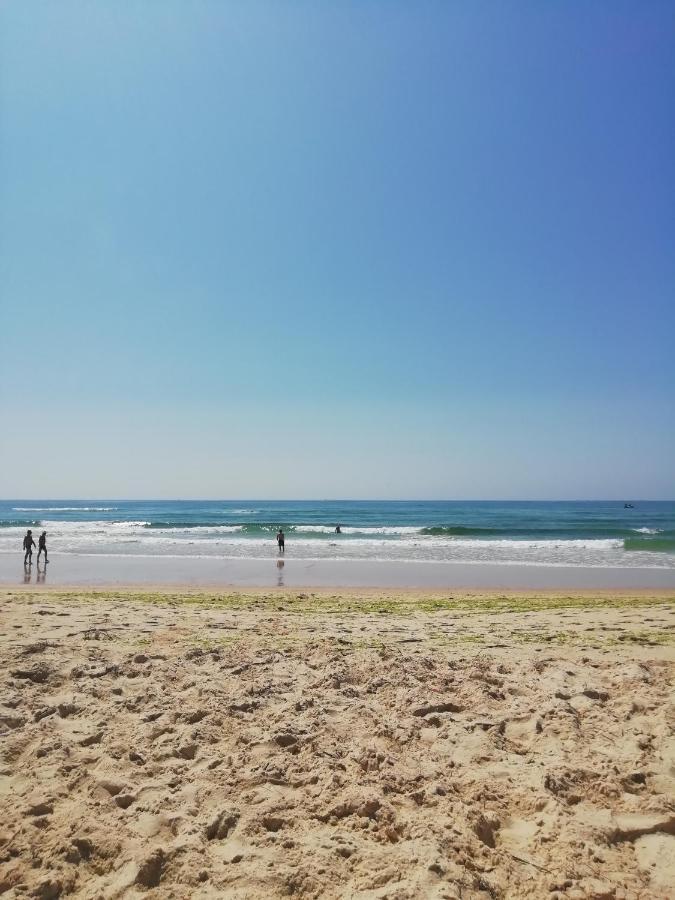 Parque Ria Formosa, Olhão
