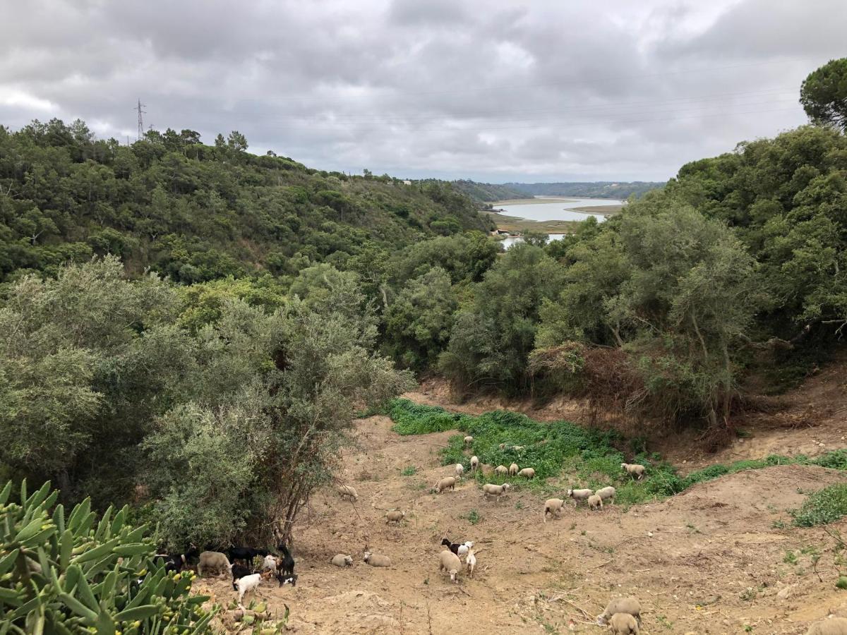 Herdade Do Freixial - Guest house Vila Nova de Milfontes