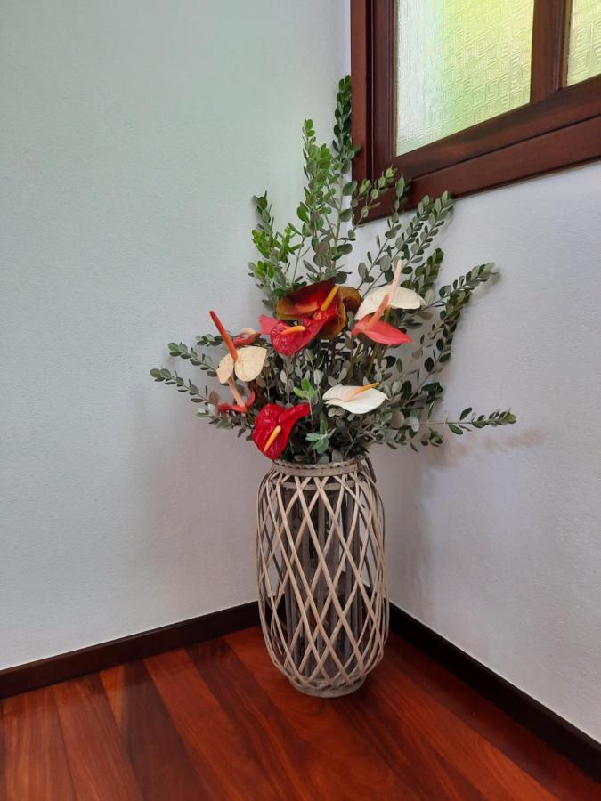 Dr. Cabral Barreto Holiday home *