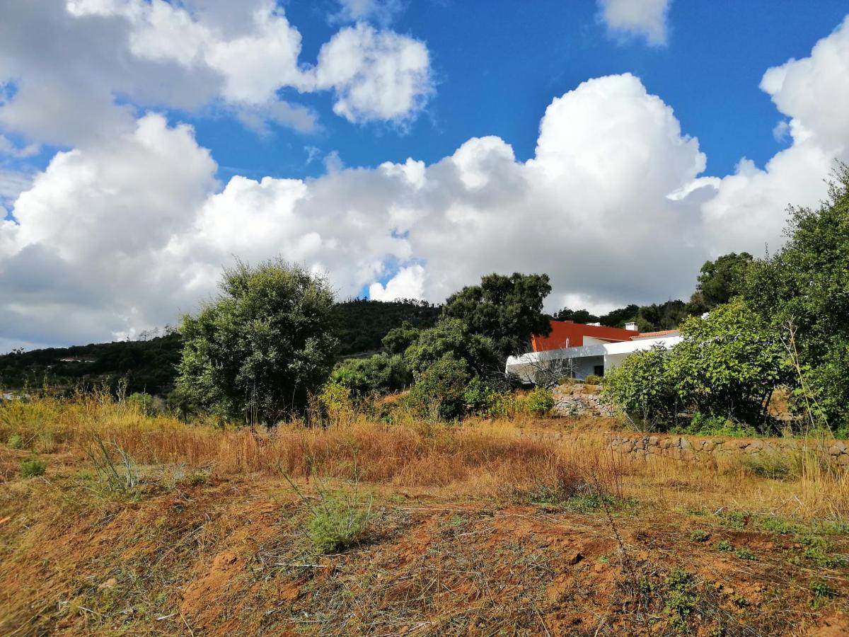 Vinha Do Gaio *