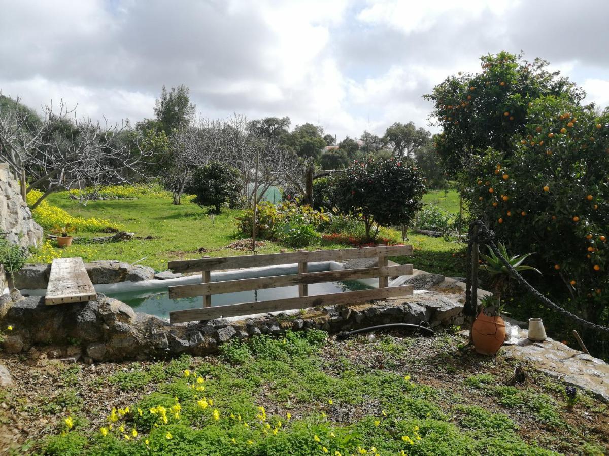 Farm stay Vinha Do Gaio