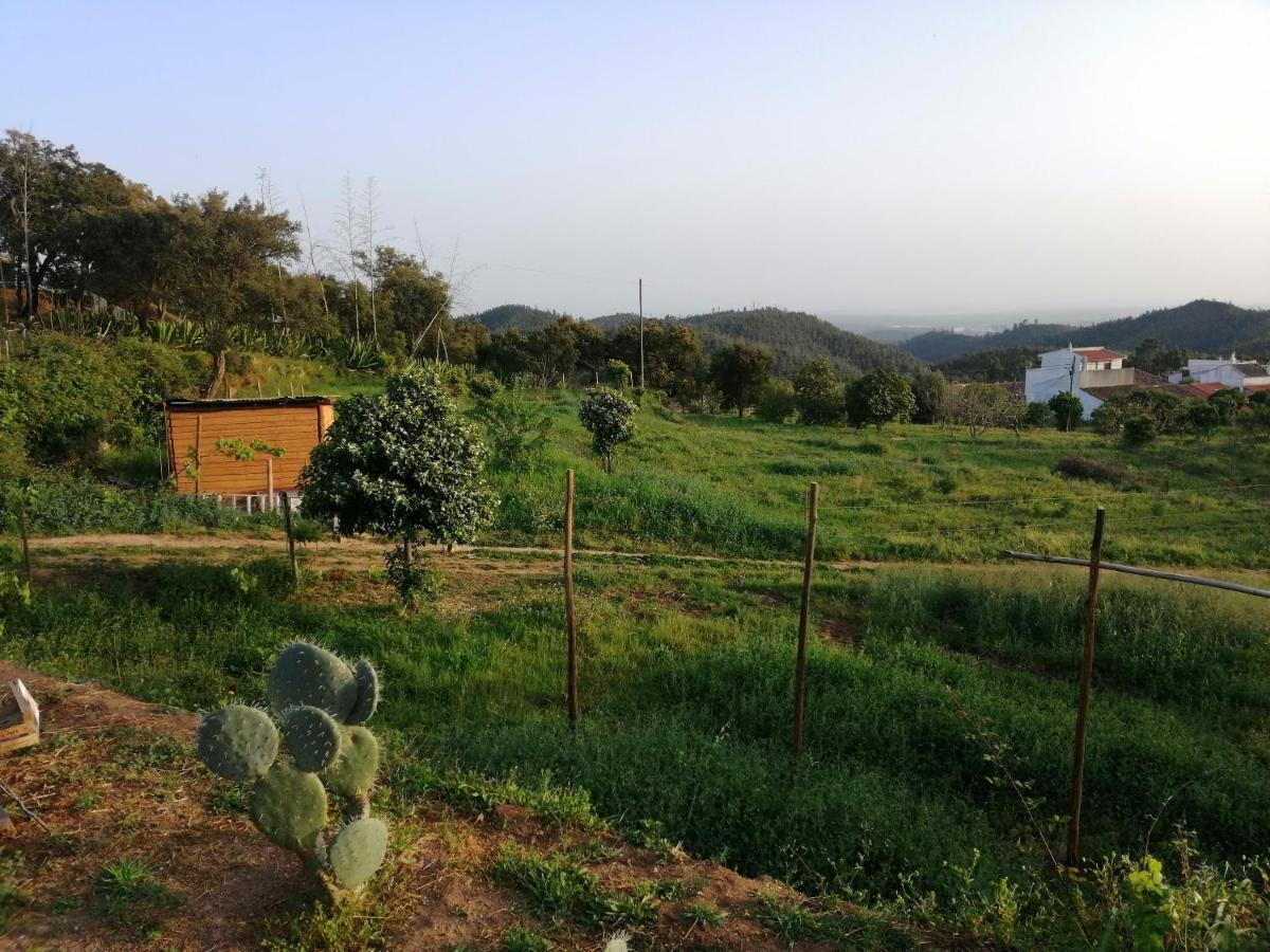Vinha Do Gaio Farm stay